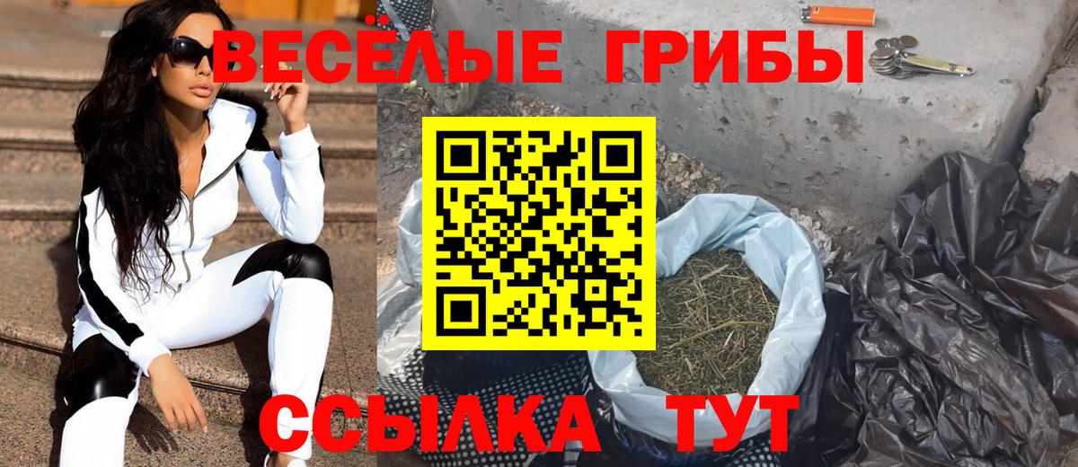 Псилоцибиновые грибы GOLDEN TEACHER Вольск