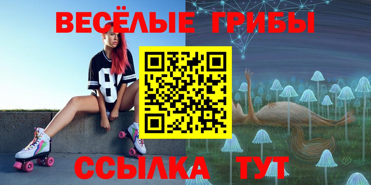 Галлюциногенные грибы мицелий  Вход с VPN  купить  цена  Вольск  Псилоцибиновые грибы GOLDEN TEACHER 